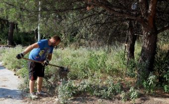 Ακαθάριστα οικόπεδα: Καμία παράταση στις δηλώσεις – Λήγει σήμερα 15/6 η προθεσμία