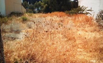 Ξεκίνησαν από το δήμο οι έλεγχοι των οικοπέδων που δηλώθηκαν από τους ιδιοκτήτες τους ως καθαρισμένα