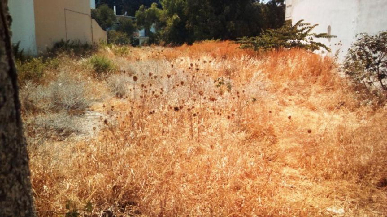 Ξεκίνησαν από το δήμο οι έλεγχοι των οικοπέδων που δηλώθηκαν από τους ιδιοκτήτες τους ως καθαρισμένα