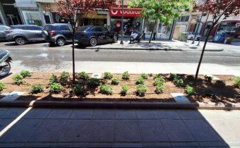 Πόσο κατάλληλα είναι τα φωτιστικά που τοποθετήθηκαν στα παρτέρια της Ελ. Βενιζέλου;;;