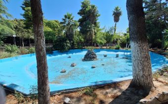 Καθαρίστηκε από το δήμο η λιμνούλα στο άλσος ΕΙΡΗΝΗ, μετά το δημοσίευμά μας…
