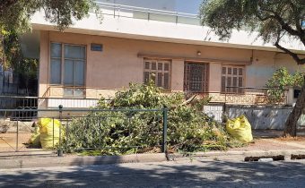 Βουναλάκι από κλαδέματα και πλαστικές σακούλες του δήμου μας, παραμένουν αμετακίνητα στο πεζοδρόμιο της οδού Μεγ. Αλεξάνδρου