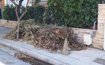 Αμάζευτα κλαδέματα επί μέρες στο πεζοδρόμιο της οδού Σίφνου