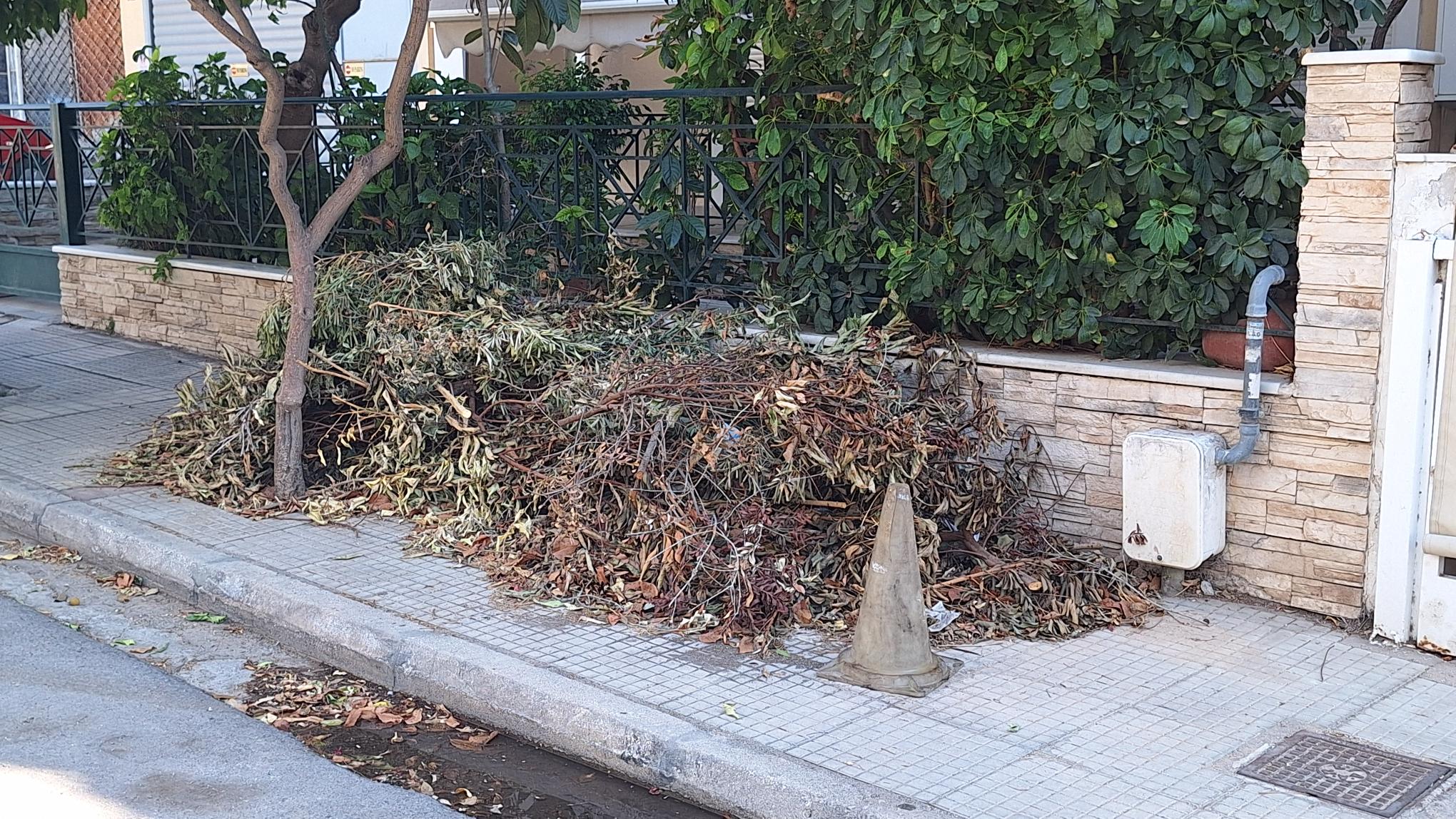 Αμάζευτα κλαδέματα επί μέρες στο πεζοδρόμιο της οδού Σίφνου