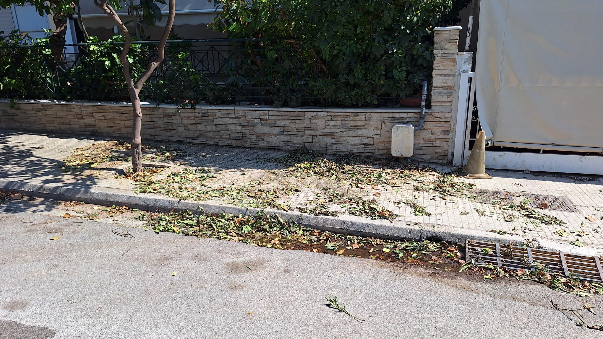 Απομακρύνθηκαν τα κλαδέματα από το πεζοδρόμιο της οδού Σίφνου