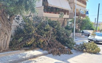 Μεγάλος όγκος από κλαδέματα έχει καταλάβει το πεζοδρόμιο και μέρος του οδοστρώματος της Π. Π. Γερμανού