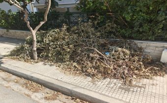 Κλαδέματα επί πολλές ημέρες στο πεζοδρόμιο της οδού Σίφνου…