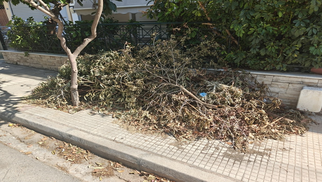 Κλαδέματα επί πολλές ημέρες στο πεζοδρόμιο της οδού Σίφνου…