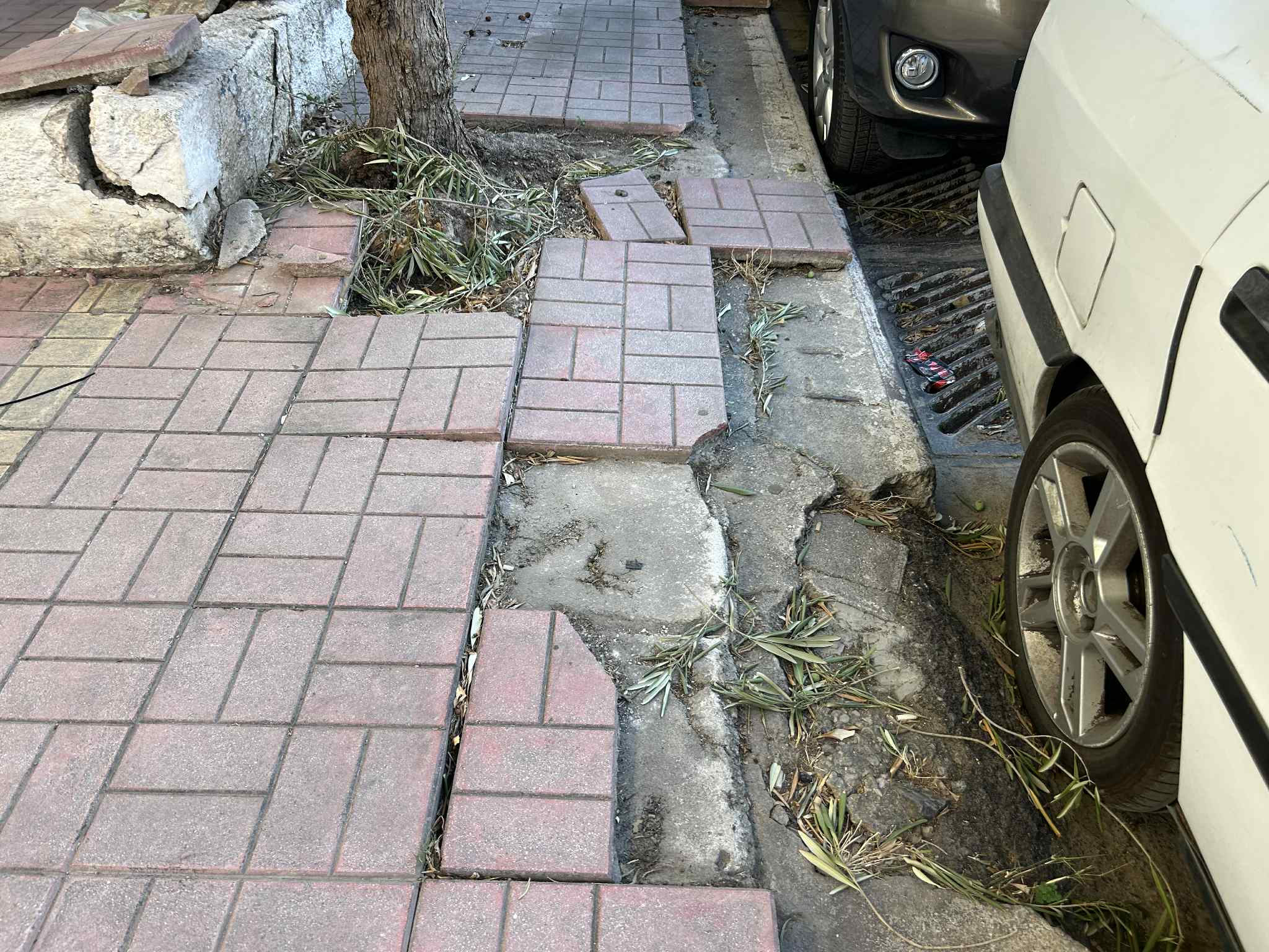 Πεζοδρόμιο για αγριοκάτσικα σε μια “ανθρωποκεντρική” πόλη…