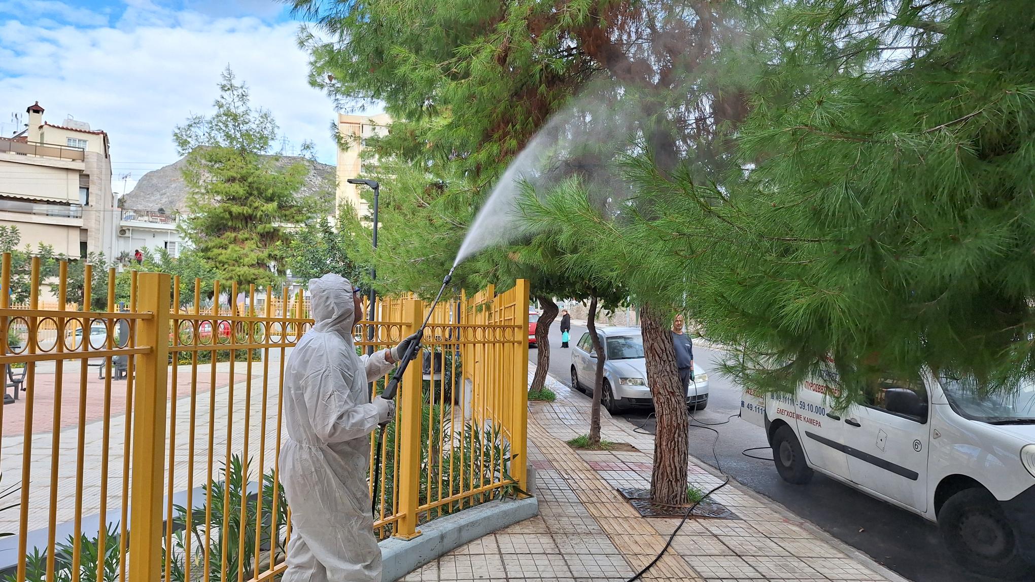 Ξεκίνησε το ράντισμα των πεύκων για την αντιμετώπιση των καμπιών, έστω και με καθυστέρηση