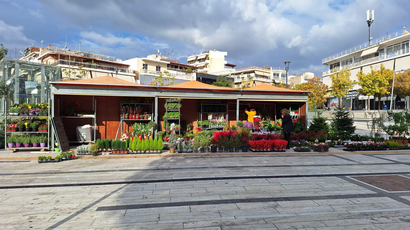 Η “Ανθοκομική Έκθεση” στην πλατεία Παναγίας Ελεούσης, κερδίζει τις εντυπώσεις