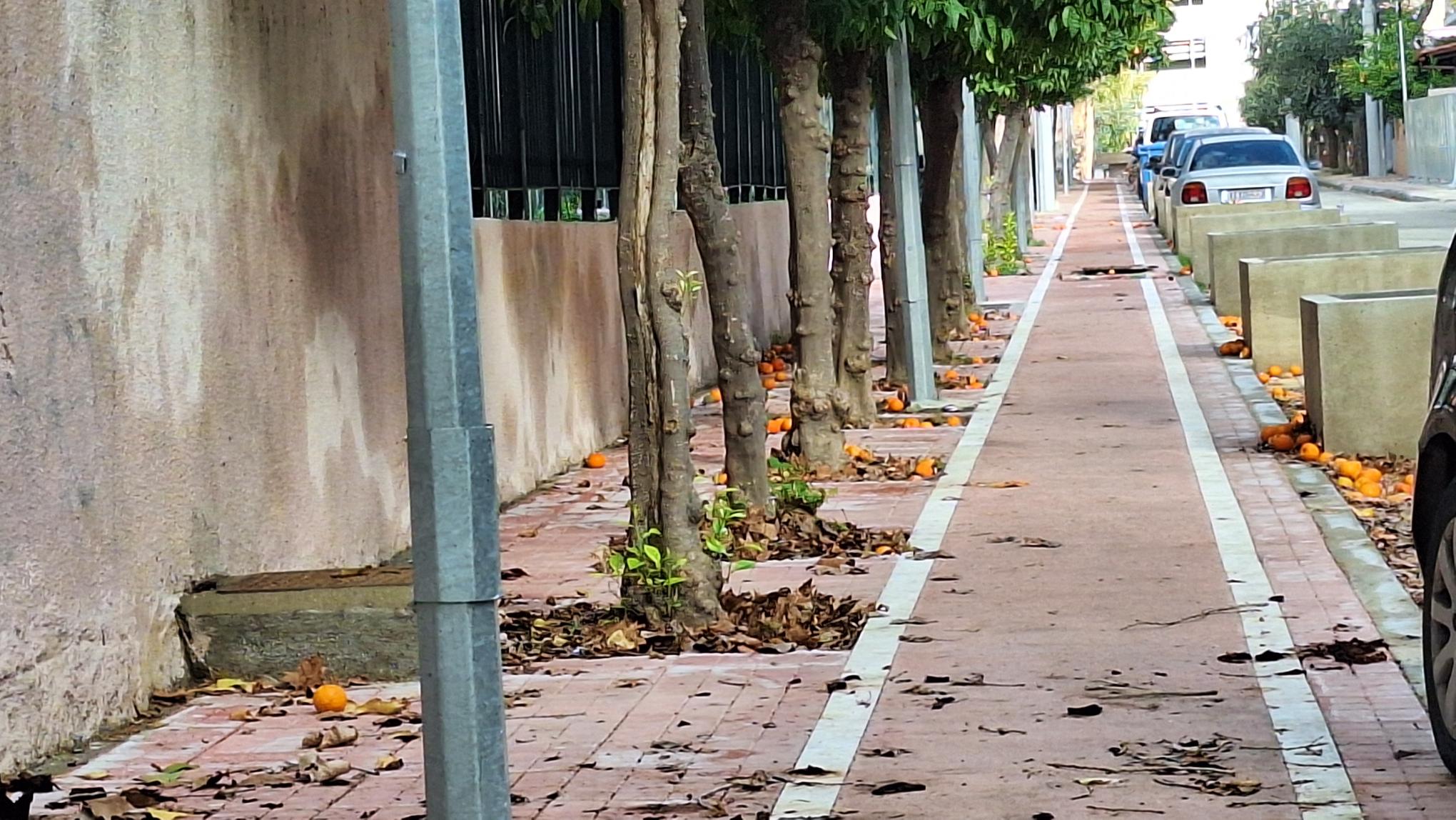 Απαράδεκτη η κατάσταση στην οδό Ραιδεστού από άποψης καθαριότητας – Ο δρόμος χρησιμοποιείται καθημερινά εκατοντάδες μαθητές, γονείς και συμπολίτες μας