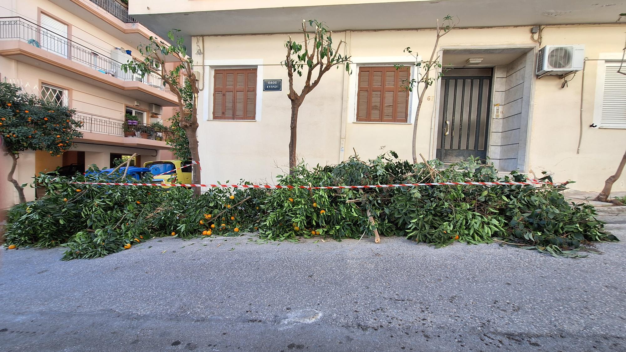 Στην οδό Κύπρου υπάρχουν κλαδέματα από δένδρα που πραγματοποίησε ο δήμος