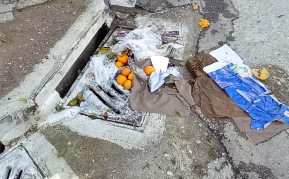 Συμπολίτισσά μας: “ΟΥΔΕΝ ΣΧΟΛΙΟΝ” και τα λέει ΟΛΑ…