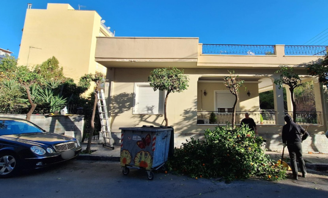 Κλαδέματα στην οδό Ηρακλείου από συνεργείο της υπηρεσίας κήπων και πρασίνου