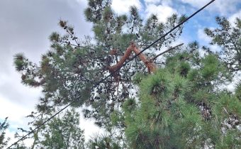 Ευχαριστούμε τον αντιδήμαρχο κ. Γιάννη Πουλάκη που μας έφτιαξε την ημέρα μας με το χωρατό και το ύφος της εξουσίας και της σιγουριάς πως μπορεί να μας διαψεύσει…